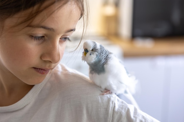 Beautiful Little Girl Playing with a White and Blue Budgie – Free Stock Photo Download