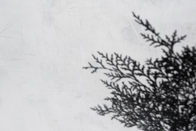 Natural and Abstract Shadow Details – Free to Download