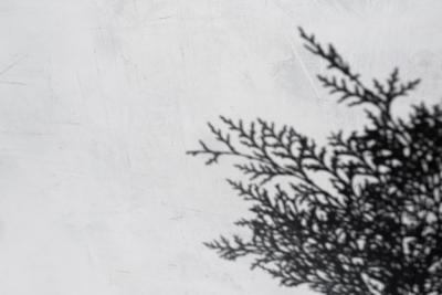 Natural and Abstract Shadow Details – Free to Download