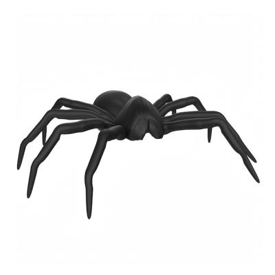 A Black Spider on a White Background – Free Stock Photo for Download