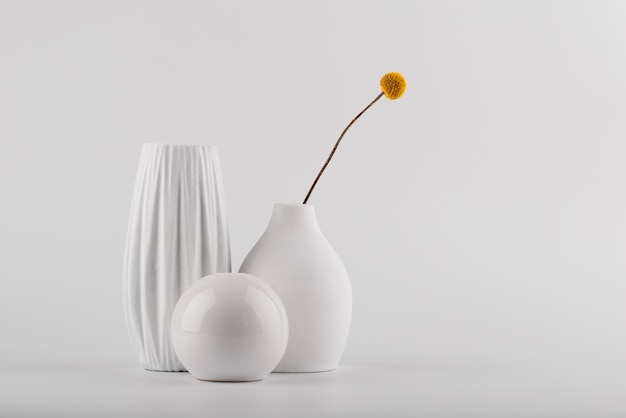 White Modern Vases with Plant Arrangement – Free Stock Photo for Download