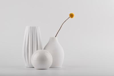 White Modern Vases with Plant Arrangement – Free Stock Photo for Download