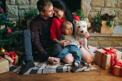 Father and Mother Enjoying Time with Their Baby and Dog on the Floor – Free Stock Photo for Download
