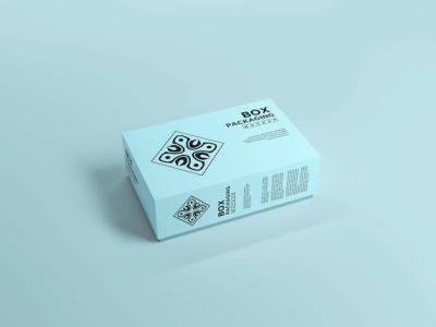 Box Packaging Mockup: Download Free Stock Photo
