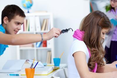 Boy with a Spider Behind Classmates – Free Stock Photo, Download Free