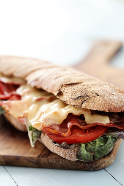 Bacon and Tomato Grilled Cheese Sandwich – Free Stock Photo Download