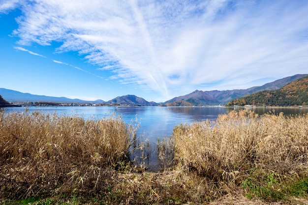 Blue Sky and Grass at Kawaguchiko Lake, Japan – Free to Download