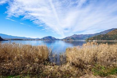 Blue Sky and Grass at Kawaguchiko Lake, Japan – Free to Download