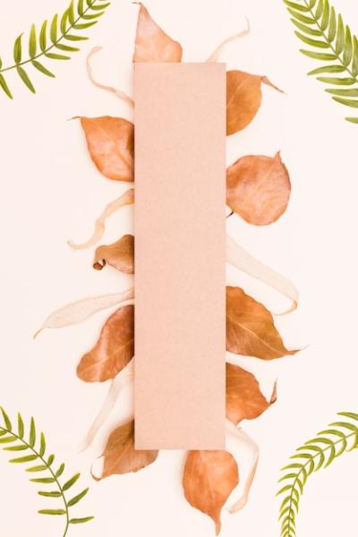 Autumn Leaves Flat Lay Arrangement – Free Download