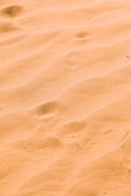 Desert Landscape in Morocco – Free Download