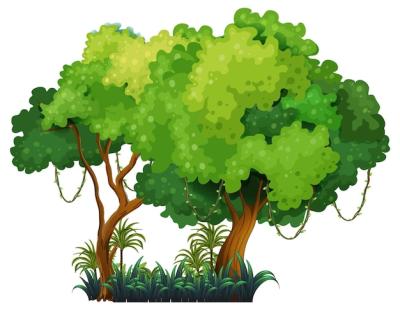 Isolated Cartoon Big Tree – Free Download, Download Free Stock Photo