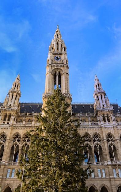 The Rathaus City Hall of Vienna and Christmas Tree Austria – Free Stock Photo for Download