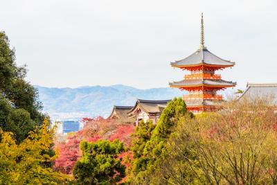 Kiyomizu Dera Temple in Kyoto, Japan – Free Download