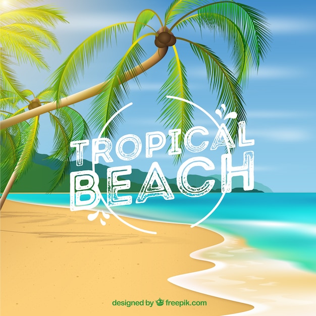 Tropical Beach Background with Palms in Realistic Style – Free to Download