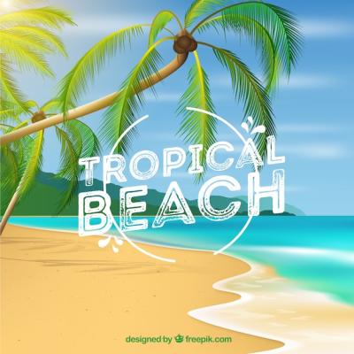 Tropical Beach Background with Palms in Realistic Style – Free to Download