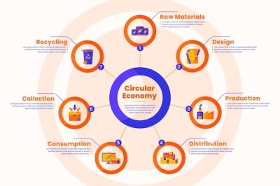 Flat Design Circular Economy Infographic – Free Download