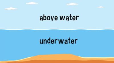 Above Water and Underwater Concept – Free Stock Photos for Download
