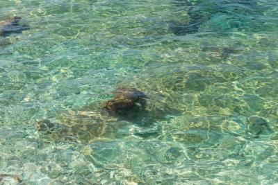 Sunny Day Sea Water – Free Stock Photo for Download