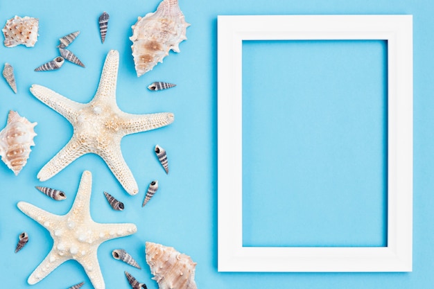 Starfish and Sea Shells Frame – Free Stock Photo for Download