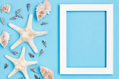 Starfish and Sea Shells Frame – Free Stock Photo for Download