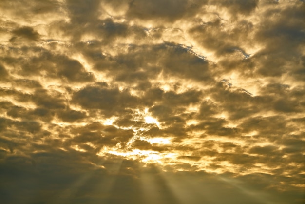 Stunning Sunrise Background – Free to Download