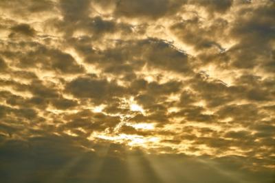 Stunning Sunrise Background – Free to Download