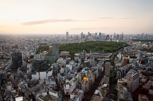 Stunning City Landscape with Beautiful Park – Free Download