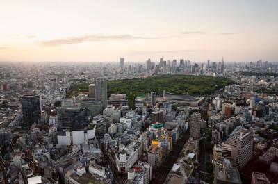 Stunning City Landscape with Beautiful Park – Free Download