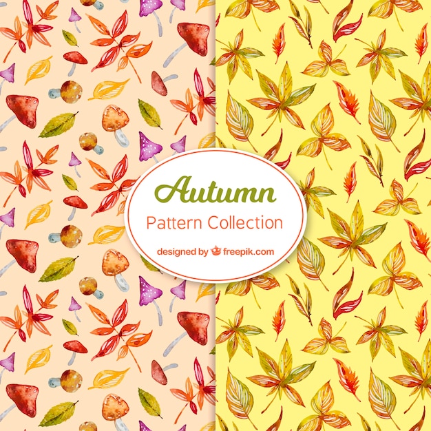 Watercolor Autumn Pattern Collection – Free Download