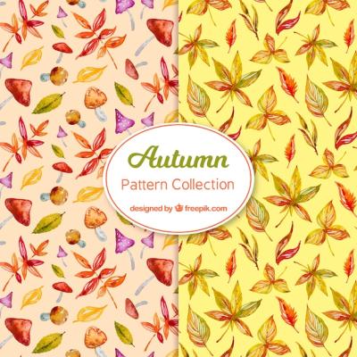 Watercolor Autumn Pattern Collection – Free Download