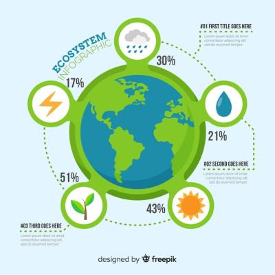 Ecosystem Infographic Background – Download Free Stock Photo