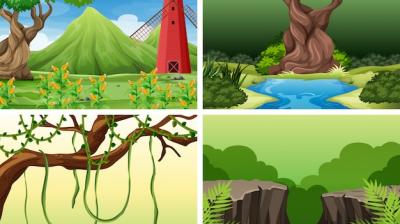 Scenes in Nature Setting – Free Stock Photo Download