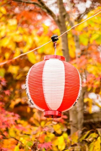 Japan Lantern – Free Stock Photo for Download