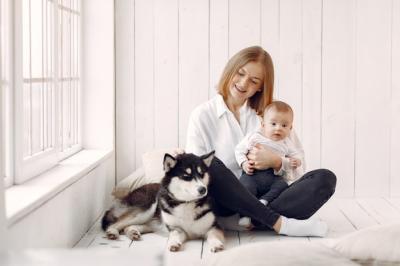 Mother and Son Enjoying Playtime with Their Dog – Free to Download