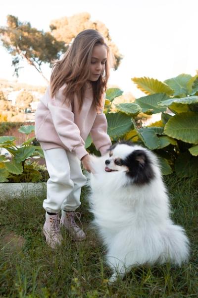 Female Child Playing with Fluffy Dog – Free Stock Photo for Download