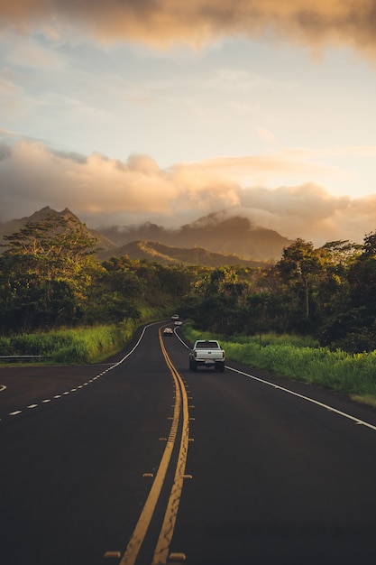 Beautiful Countryside Road Surrounded by Lush Greenery and Forests – Free Download