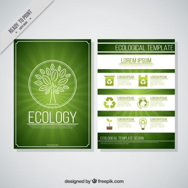 Eco-Friendly Business Flyer: Download Free Stock Photo