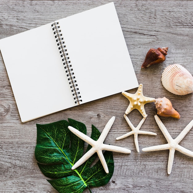 Opened Blank Spiral Notebook Decorated with Seashell, Leaf, and Starfish – Free Stock Photo for Download