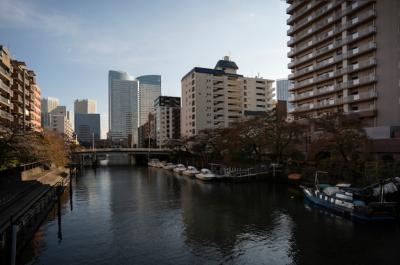 Tokyo Cityscape During the Day â Free Download