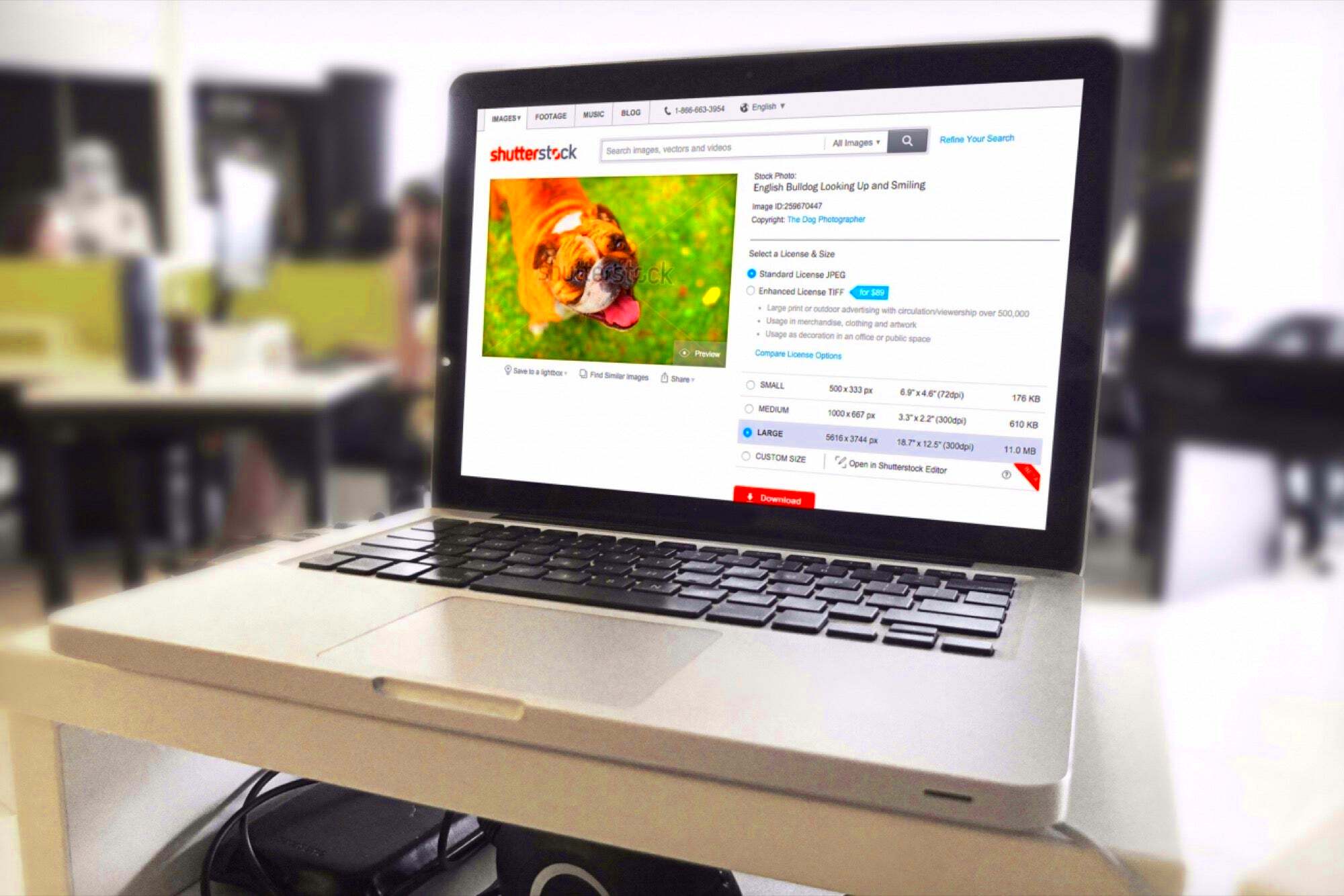 How Shutterstock Is Training Its System to Help You Find Better Photos 