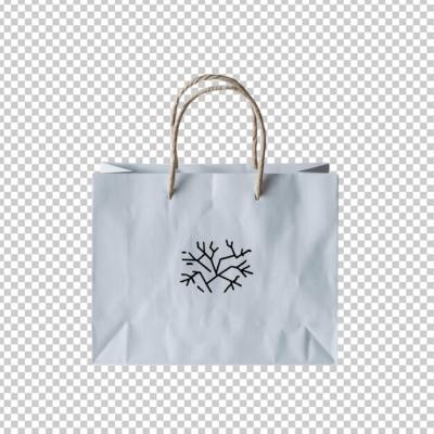 Paper Shopping Bag with Twisted Handles – Free Stock Photo Download