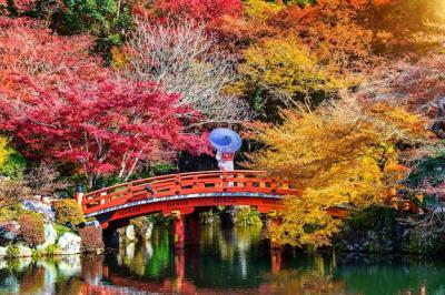 Japanese Traditional Kimono in Autumn Park – Free Stock Photo for Download