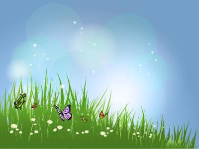 Butterflies in Landscape – Free Download, Download Free Stock Photo