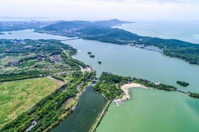 The City Park with Lake – Free Stock Photo for Download