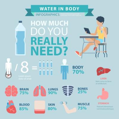 Flat Style Water in Body Thematic Infographics Concept – Free Download