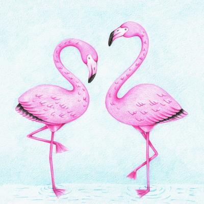 Two Pink Flamingos Hand-Drawn with Color Pencils – Free Stock Photo Download