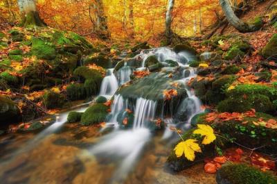 Small Waterfall in Mountains – Free Stock Photo, Download for Free