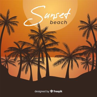 Stunning Beach Sunset with Palm Silhouettes – Free to Download