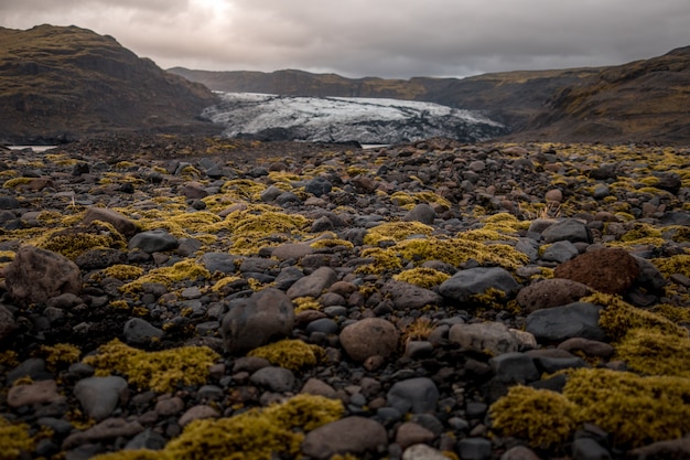 Stones and Moss on Solheimajokull Glacier in Iceland – Free Stock Photo for Download