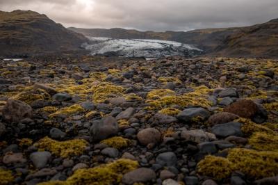 Stones and Moss on Solheimajokull Glacier in Iceland – Free Stock Photo for Download
